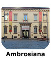 Ambrosiana